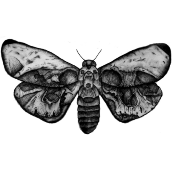 NWT, "DEATHS HEAD MOTH" TEMPORARY TATTOO. - Picture 1 of 2